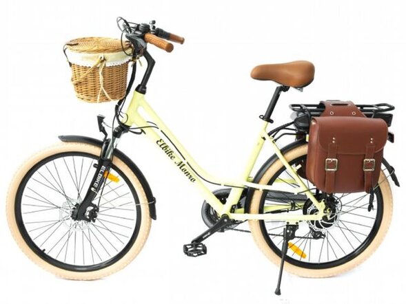 Электровелосипед ELBIKE MONRO
